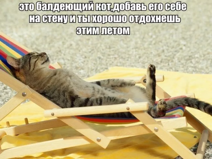 Party Bar 13 (бывшее SHOKO)