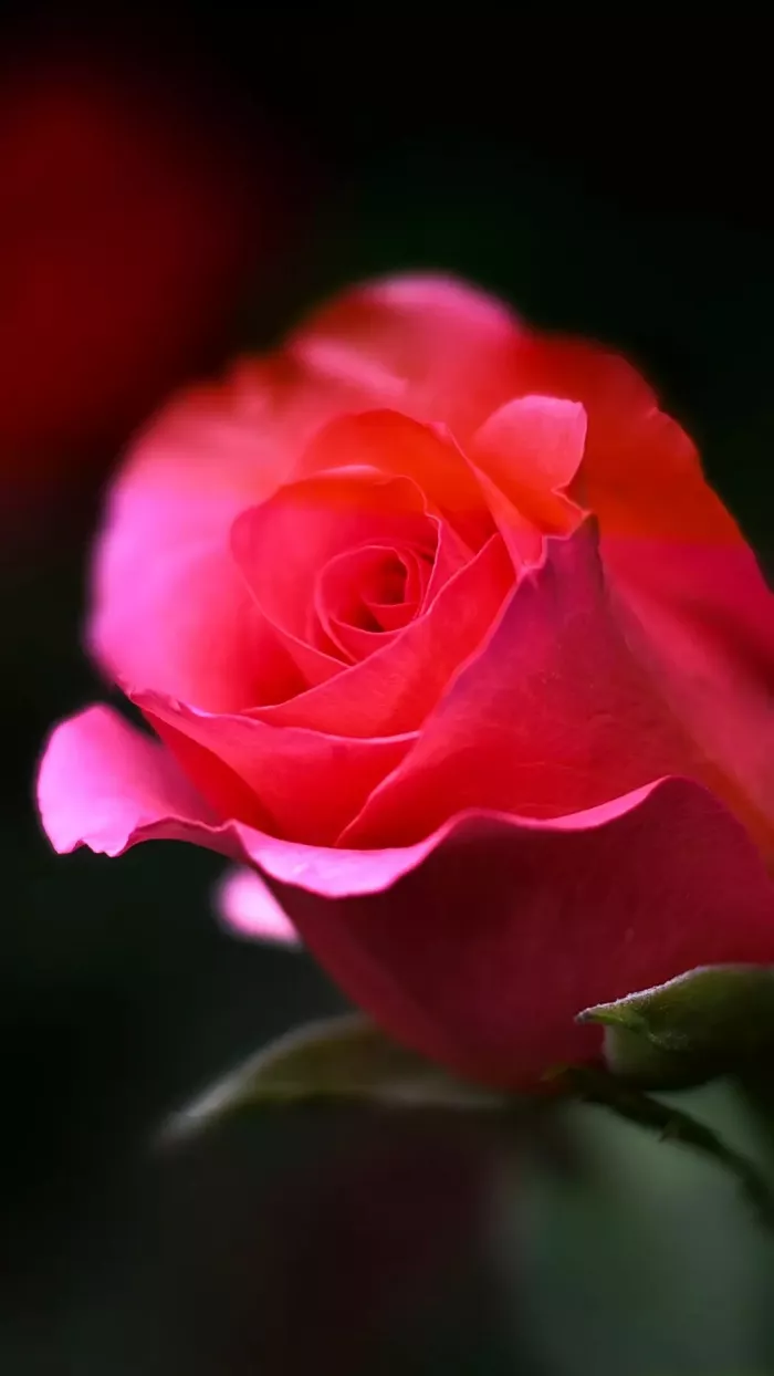 Наше серебро