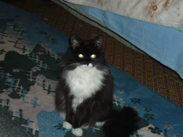 ооо Маргарита