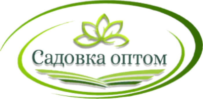 И.П Ионцева Садовка Оптом