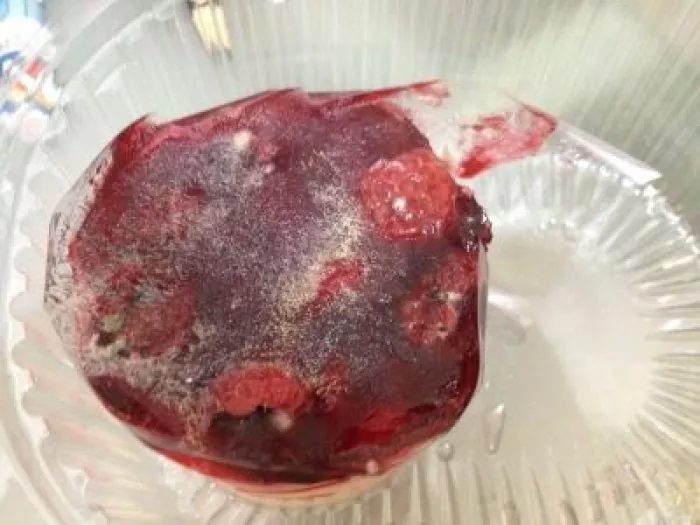 ООО Торт вашей мечты