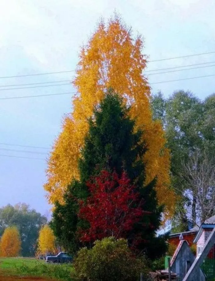 ПЛАСТФОРМПРОДУКТ