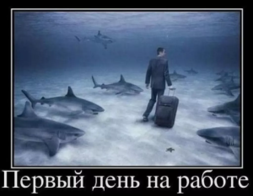Первый день на работе
