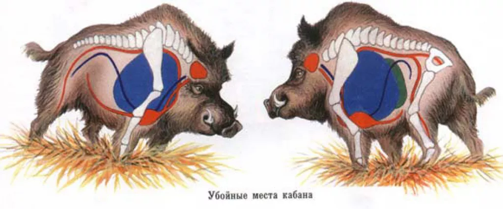 Глава профсоюза "Газпрома" застрелил заместителя ген. директора «Газпром-Надым»