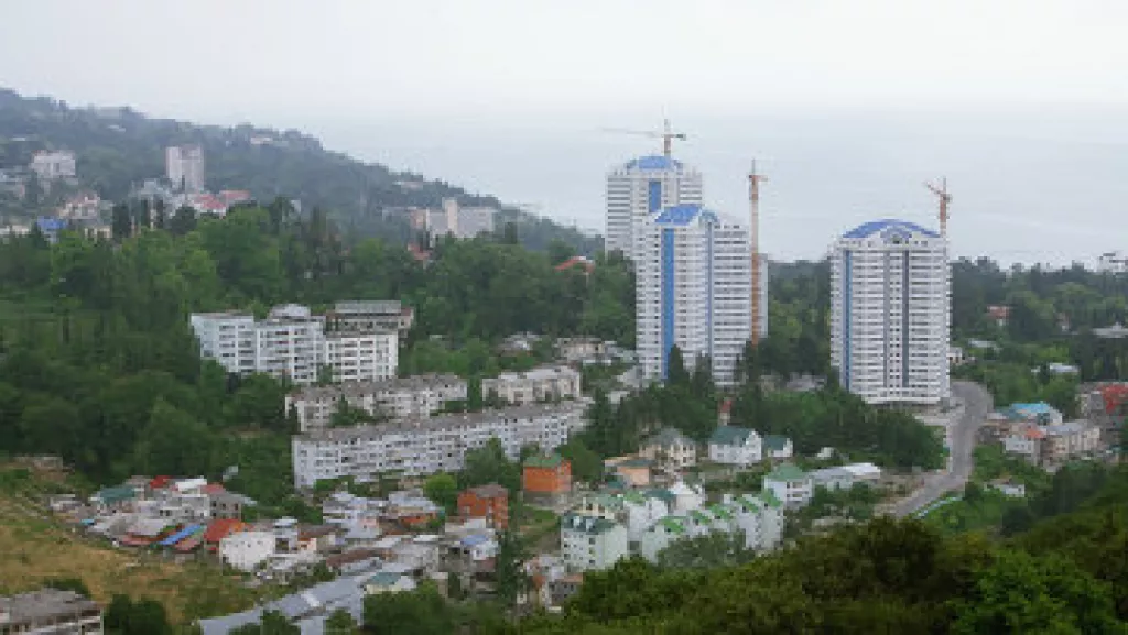 Рабочие погибли при падении дерева на строительстве трассы в Сочи