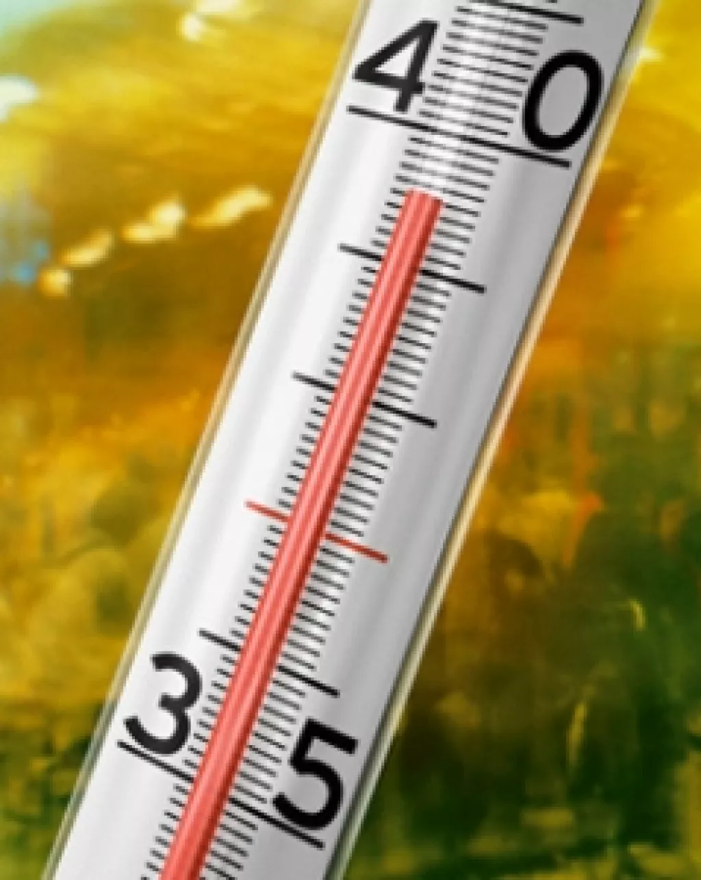 Наши действия при нарушении температурных норм на рабочем месте